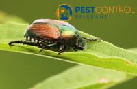 Beetle Control Brisbane image 2